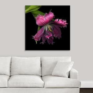 "Pink Frazzled Tulip" by Magda Indigo Canvas Wall Art