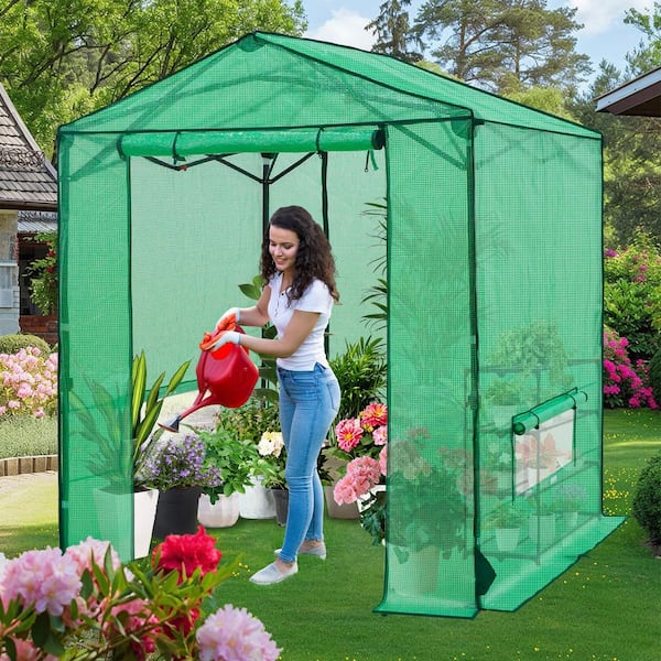 6 x 6 ft. Pop-up Walk-in Portable Greenhouse with PE-Cover, Adjustable Heights Wind-Protection Water-Proof, Green