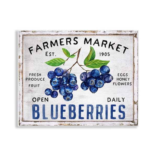 Stupell Industries Farmers Market Blueberries by Creatif Belle Unframed Food Graphic Art Print 11 in. x 14 in.