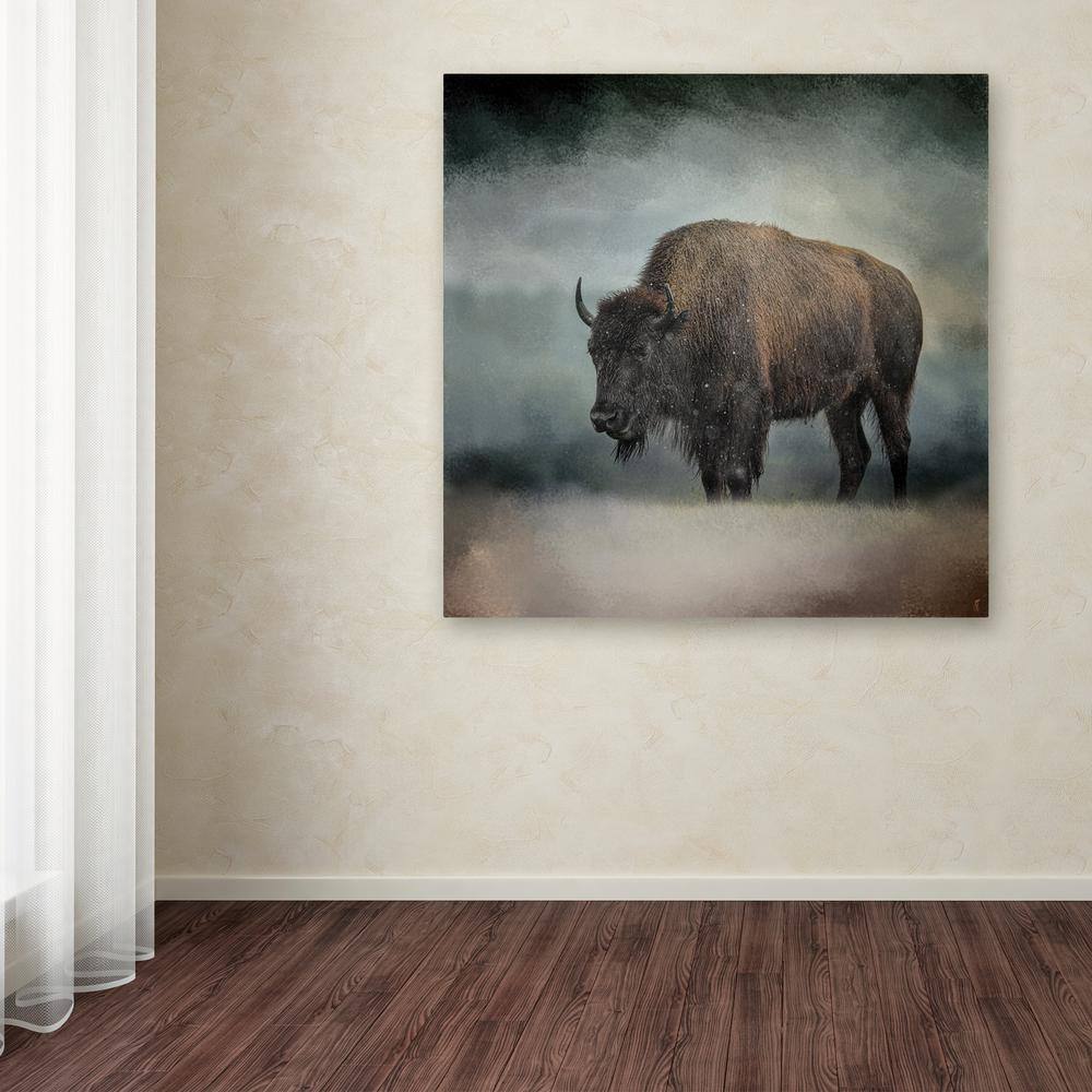 Stormy Day Buffalo Framed Canvas Photography Print
