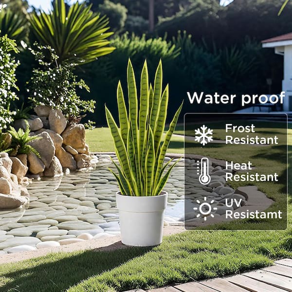 Vitalismo 3 ft. Artificial Snake Plant in Pot Green and Yellow Indoor Fake  Sansevieria Tree for Indoor/Outdoor(Set of 2) NOHK0070GLGRN - The Home Depot