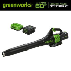 Greenworks Pro 170 Mph 700 Cfm 60 Volt Battery Cordless Handheld Leaf Blower With 5 0 Ah Battery And Charger Bl60l512 The Home Depot