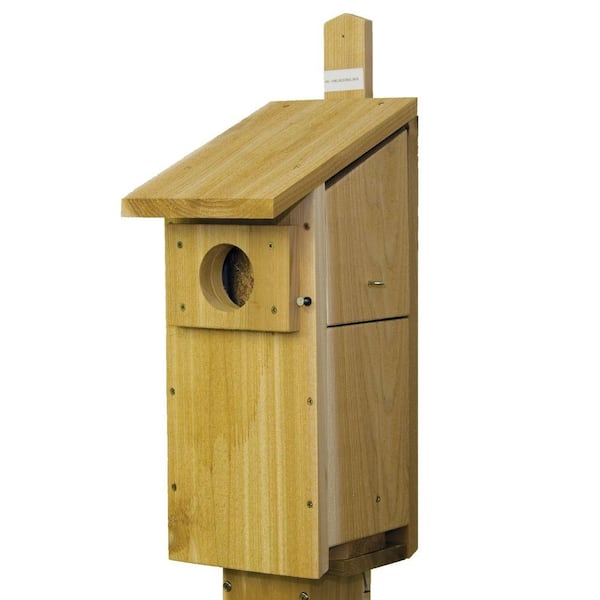 Stovall Products Screech Owl Box
