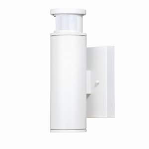 Chiasso White LED Motion Sensor Dusk to Dawn Dark Sky Outdoor Wall Light