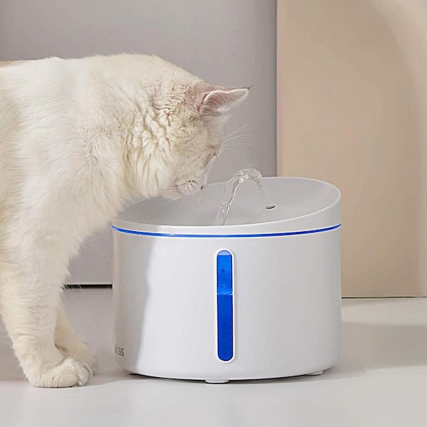 elevated pet water fountain