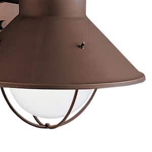 Seaside 14.25 in. 1-Light Olde Bronze Outdoor Hardwired Barn Sconce with No Bulbs Included (1-Pack)