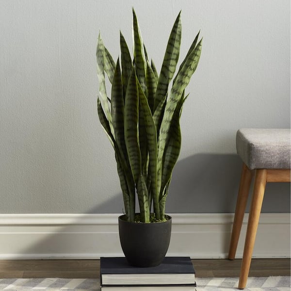 Faux Snake Plant - World Market