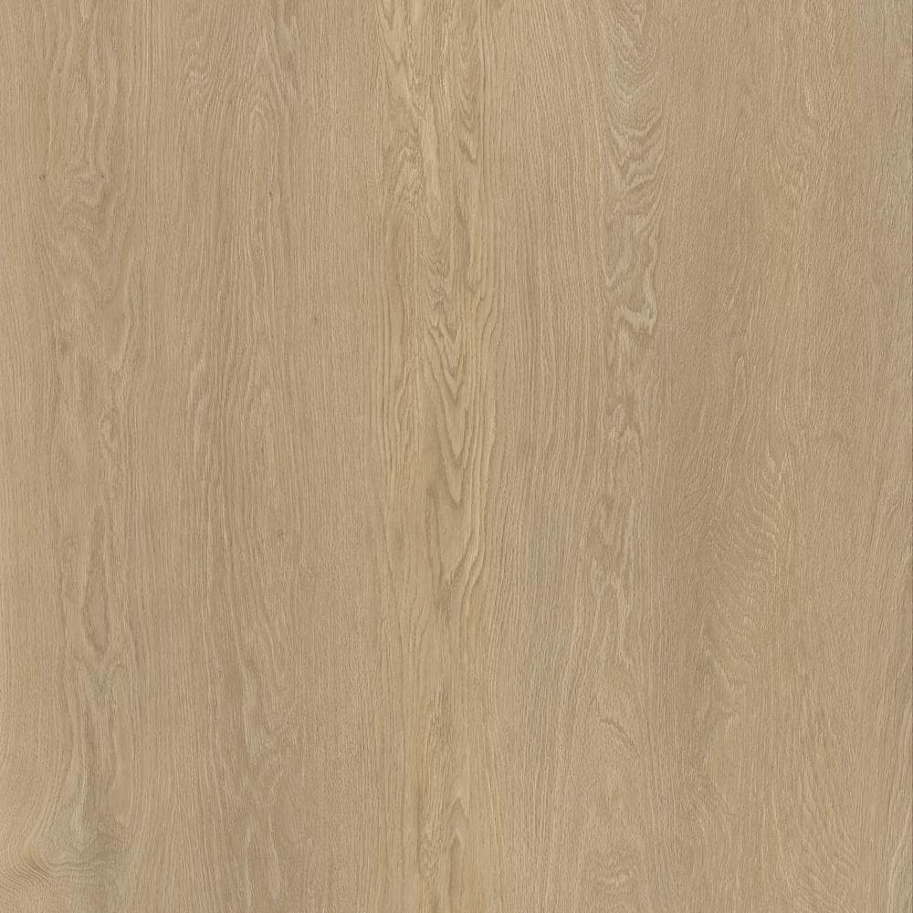 Take Home Sample - 9 in. W x 12 in. L x 8 mm T Foothill Natural Oak Waterpr