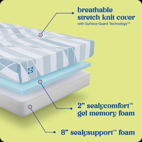 Dreamlife Queen Medium Memory Foam 10 in. Bed-in-a-Box Mattress