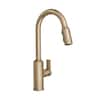 Moen Meena Single Handle Pull Down Sprayer Kitchen Faucet With Power Clean And Reflex In Bronzed