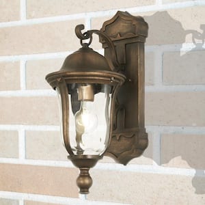 Havenwood 1-Light Tauira Bronze and Alder Silver Hardwired Outdoor Wall Lantern Sconce with Clear Hammered Glass