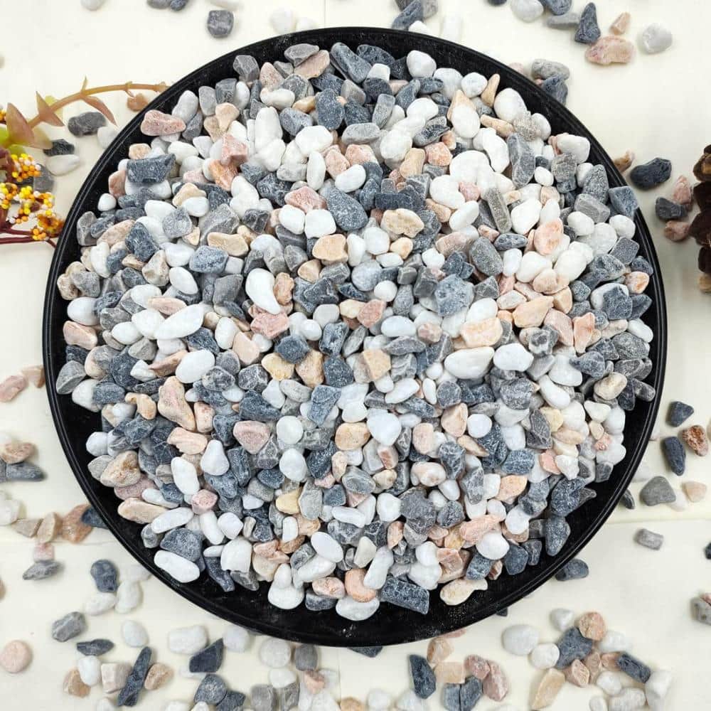 5 lb 1/5 in. Gravel Pebbles for Succulent Drainage Mixed 1-Pack price history on PriceWatchPro
