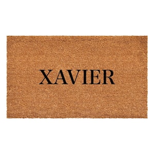 Bold Xavier Multi-Colored 24 in. x 36 in. Indoor or Outdoor Doormat