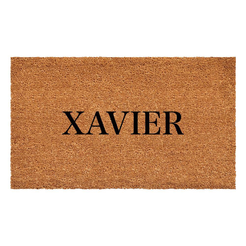 Bold Xavier Multi-Colored 30 in. x 48 in. Indoor or Outdoor Doormat price history on PriceWatchPro