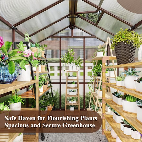 VIWAT 6 ft. W x 8 ft. D Wooden Polycarbonate Greenhouse with