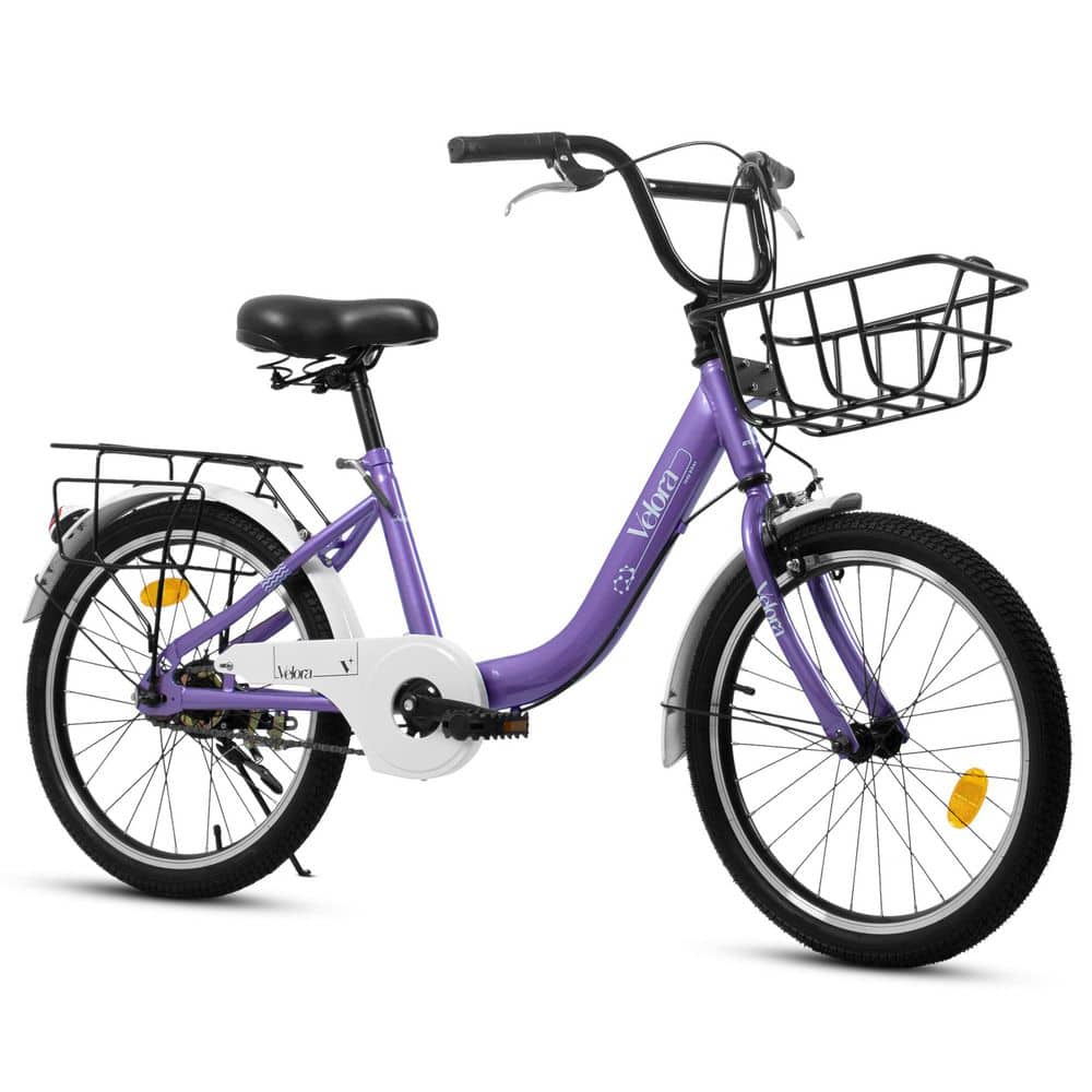 20 in. Purple Steel Frame Kids Bike 1-Speed with Coaster Brake and Rear Rack price history on PriceWatchPro