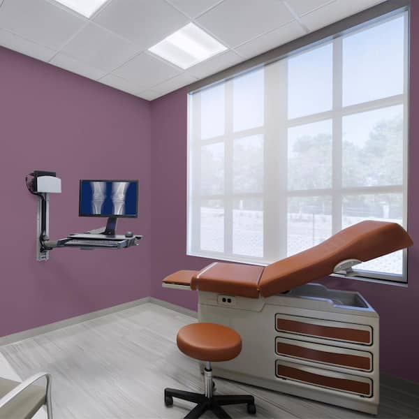 1 gal. #MQ5-35 Plum Rich Dead Flat Interior Paint