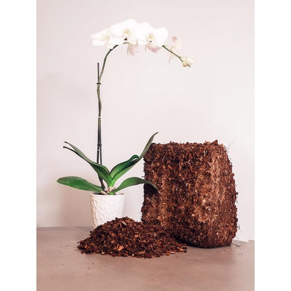 Coconut fiber - more than just a cheap soil! - Tropical Edu