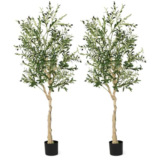 Mecale 6 ft. Tall Artificial Olive Tree Faux Olive Plants in Pot (2-Pack)
