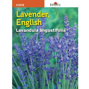 Lavender True Seed