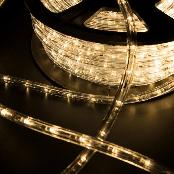 walsport Outdoor 100 ft. 110-Volt Plug-In Warm White Color