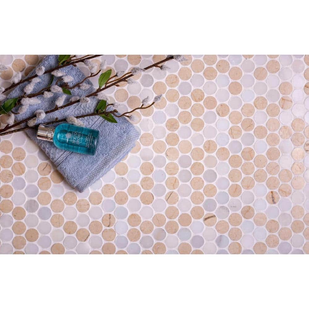 Gray and Beige Penny Polished Marble Mosaic Tile Pack