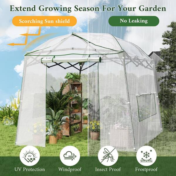 LATTOY Walk-In Greenhouse 8.5 ft. W x 7 ft. D x 7 ft. H Portable
