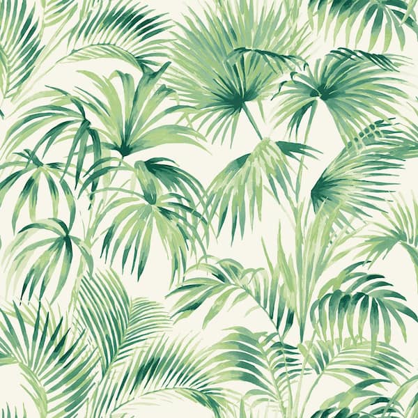 Chesapeake Manaus Green Palm Frond Matte Paper Pre-Pasted Wallpaper Sample
