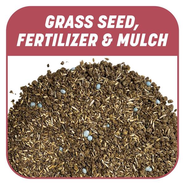 Home Depot Zoysia Seednull