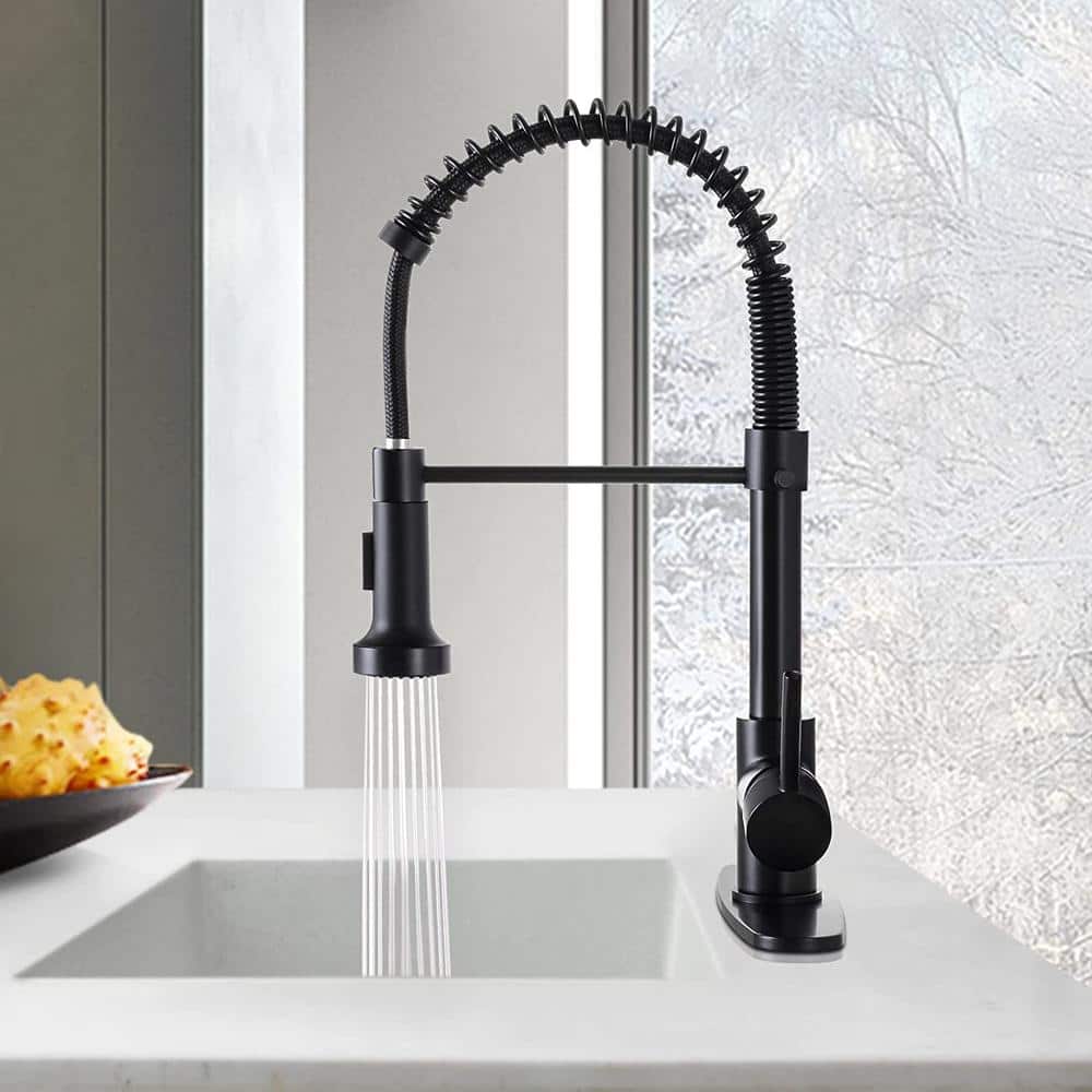 Matte Black Stainless Steel Pull-Down Kitchen Faucet with Spray