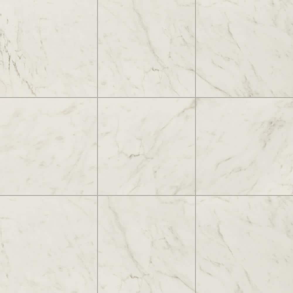 Leonardo Bianco 24 in. x 24 in. Polished Porcelain Marble Look Floor and Wall Tile (480 sq. ft./Pallet) price history on PriceWatchPro