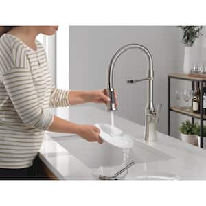 Ermelo Pro Single Handle Pull Down Sprayer Kitchen Faucet with Spring Spout in Stainless