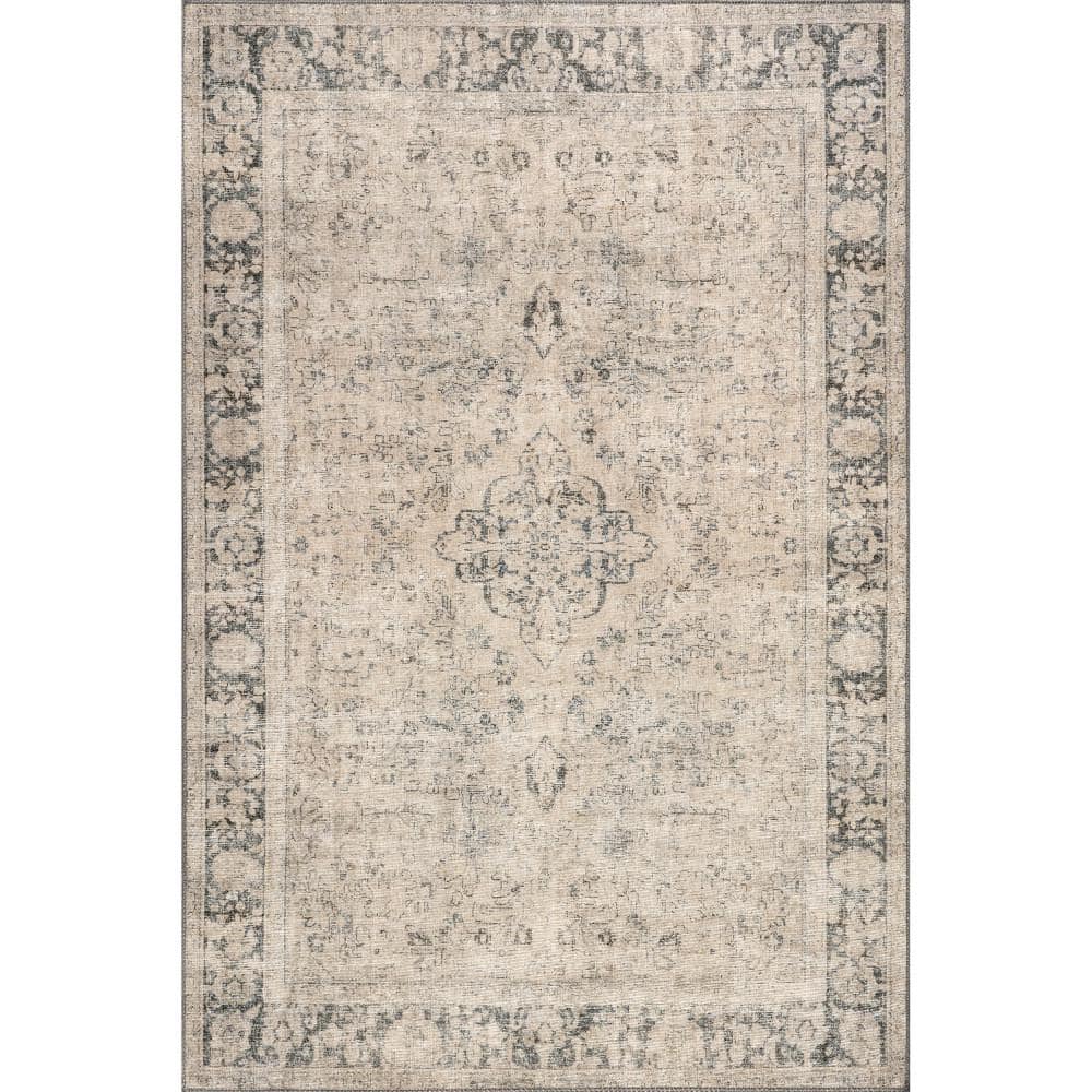 Hillstone Grey 5 ft. x 8 ft. Traditional Vintage Medallion Area Rug price history on PriceWatchPro