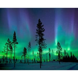 Aurora Borealis/ Northern Lights Wall Mural