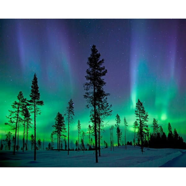 Wall Rogues Aurora Borealis/Northern Lights Wall Mural