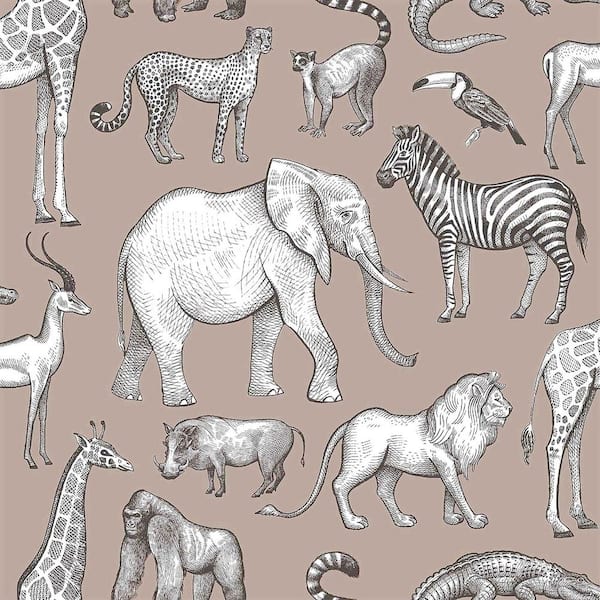 Chesapeake Brown Kenji Safari Matte Non-Pasted Wallpaper Sample
