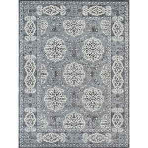 Alexis Jane Blue/Gray 8 ft. 9 in. x 11 ft. 9 in. Transitional Bordered Polypropylene Area Rug