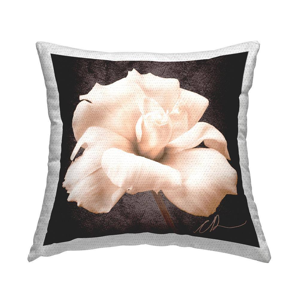 Vintage Rose Petals Black Square Outdoor Throw Pillow price history on PriceWatchPro