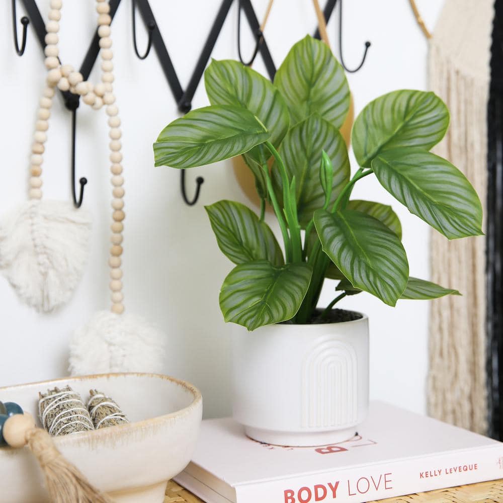 Nearly Natural Green Calathea Potted Plant in White Planter