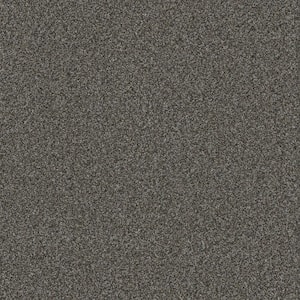 Serene Glory II-Tranquil Gray-55 oz. SD Polyester Texture Installed Carpet