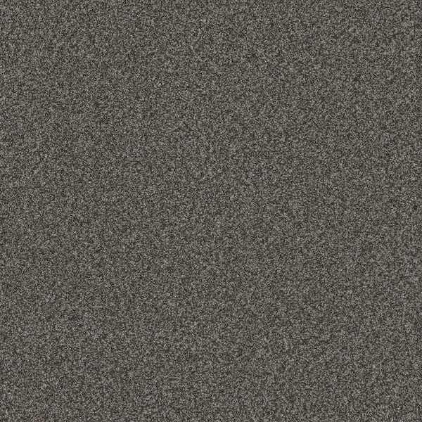 Home Decorators Collection Serene Glory II-Tranquil Gray-55 oz. SD Polyester Texture Installed Carpet