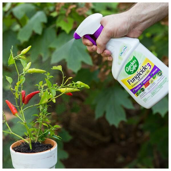 Garden Safe Fungicide3 24 Oz Ready To Use Insecticide And Miticide Spray Hg 10414x 8 The Home Depot