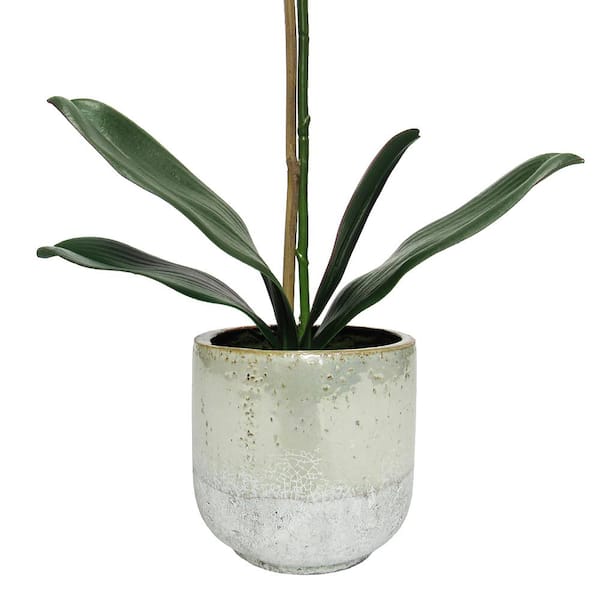 22 in. White Artificial Phalaenopsis Orchid Flower Arrangement in Half Glazed Ceramic Pot