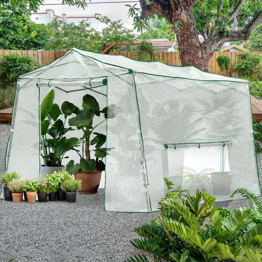 Sunnydaze Mini Cloche Greenhouse with Zipper Doors Portable Seedling Gree - 3