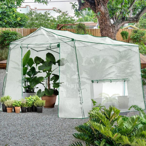 JOYSIDE 7 ft. x 8.5 ft. Pop-up Walk-in Greenhouse with Roll-up Windows and Zippered Door