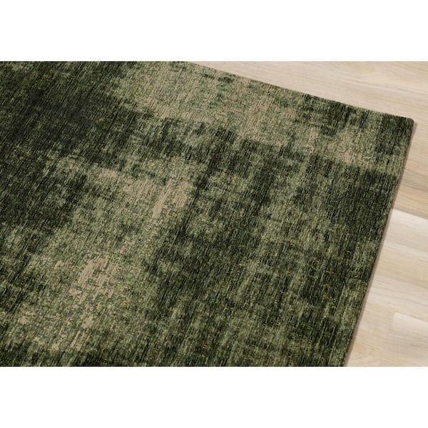 Lirien Collections 5 ft. x 8 ft. Green Organic Indoor Area Rug