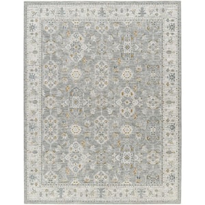 Dresden 10 ft. x 14 ft. Gray Oriental Indoor Area Rug