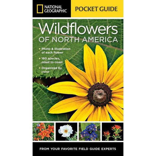 Unbranded National Geographic Pocket Guide to Wildflowers of North America