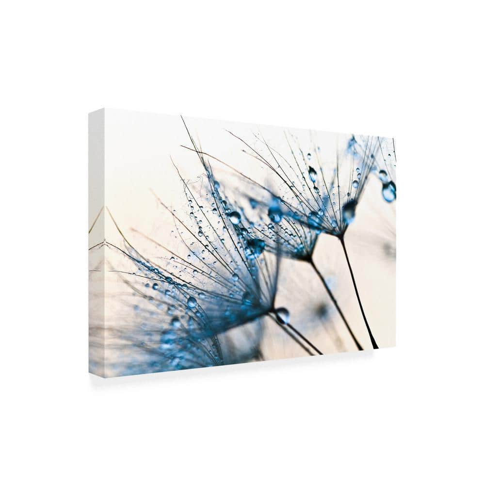 Mystic Blue Dandelion Water Droplets Canvas Print 30x47