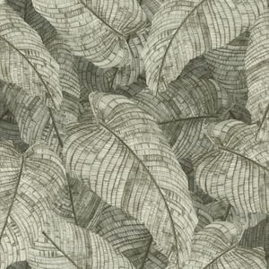 Galner Moss Leaves Wallpaper